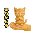 ❤︎あかにゃん❤︎茶虎.（個別スタンプ：23）