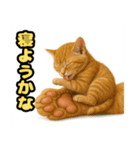 ❤︎あかにゃん❤︎茶虎.（個別スタンプ：24）