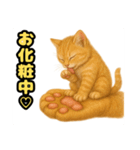 ❤︎あかにゃん❤︎茶虎.（個別スタンプ：33）