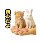 ❤︎あかにゃん❤︎茶虎.（個別スタンプ：34）
