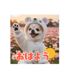 オコジョすたんぷ♡ぽん吉・日常会話・春（個別スタンプ：5）