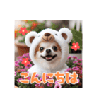 オコジョすたんぷ♡ぽん吉・日常会話・春（個別スタンプ：7）