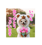 オコジョすたんぷ♡ぽん吉・日常会話・春（個別スタンプ：16）