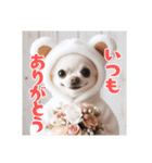 オコジョすたんぷ♡ぽん吉・日常会話・春（個別スタンプ：17）
