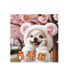 オコジョすたんぷ♡ぽん吉・日常会話・春（個別スタンプ：29）