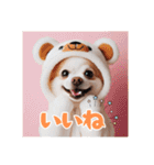 オコジョすたんぷ♡ぽん吉・日常会話・春（個別スタンプ：36）