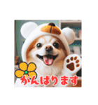 オコジョすたんぷ♡ぽん吉・日常会話・春（個別スタンプ：37）