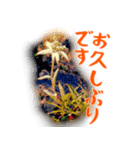 おおはさまちょうスタンプ2（個別スタンプ：8）