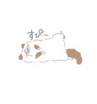 まいにちまろちゃん（個別スタンプ：3）