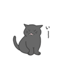 ねこのスタンプ( ΦωΦ )（個別スタンプ：4）