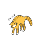 ねこのスタンプ( ΦωΦ )（個別スタンプ：16）
