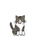 ねこのスタンプ( ΦωΦ )（個別スタンプ：19）