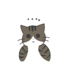 ねこのスタンプ( ΦωΦ )（個別スタンプ：20）