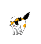 ねこのスタンプ( ΦωΦ )（個別スタンプ：21）