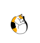 ねこのスタンプ( ΦωΦ )（個別スタンプ：22）