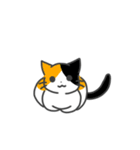 ねこのスタンプ( ΦωΦ )（個別スタンプ：23）