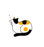 ねこのスタンプ( ΦωΦ )（個別スタンプ：24）