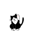 ねこのスタンプ( ΦωΦ )（個別スタンプ：25）