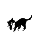 ねこのスタンプ( ΦωΦ )（個別スタンプ：27）
