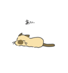ねこのスタンプ( ΦωΦ )（個別スタンプ：29）