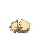 ねこのスタンプ( ΦωΦ )（個別スタンプ：30）