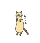 ねこのスタンプ( ΦωΦ )（個別スタンプ：32）