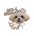 titi' s stamp♡2（個別スタンプ：4）