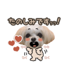 titi' s stamp♡2（個別スタンプ：5）