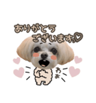titi' s stamp♡2（個別スタンプ：6）