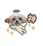 titi' s stamp♡2（個別スタンプ：7）