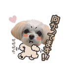 titi' s stamp♡2（個別スタンプ：10）