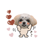 titi' s stamp♡2（個別スタンプ：11）