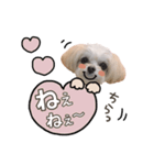titi' s stamp♡2（個別スタンプ：24）