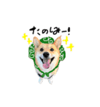それいけコタロー（個別スタンプ：3）