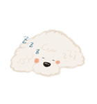トイプードル風スタンプ（文字なし）（個別スタンプ：7）