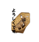 TENOBO（個別スタンプ：27）