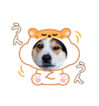 Love2222（個別スタンプ：8）