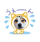 Love2222（個別スタンプ：12）