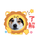 Love2222（個別スタンプ：14）