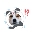 Love2222（個別スタンプ：18）