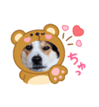 Love2222（個別スタンプ：20）