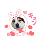 Love2222（個別スタンプ：21）