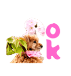 可愛く一言レディ（個別スタンプ：6）