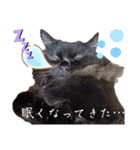 黒猫 ルナ院長167にゃんめ（個別スタンプ：7）
