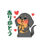 ぽっちゃりダックス 2（ブラタン）（個別スタンプ：10）