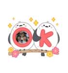 シェルティちっぴー（個別スタンプ：9）