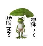 カエルのきもち 創刊号（個別スタンプ：31）