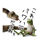 カエルのきもち 創刊号（個別スタンプ：33）