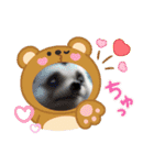 可愛いハリネズミちゃん達（個別スタンプ：15）