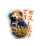 おおはさまちょうスタンプ3（個別スタンプ：15）